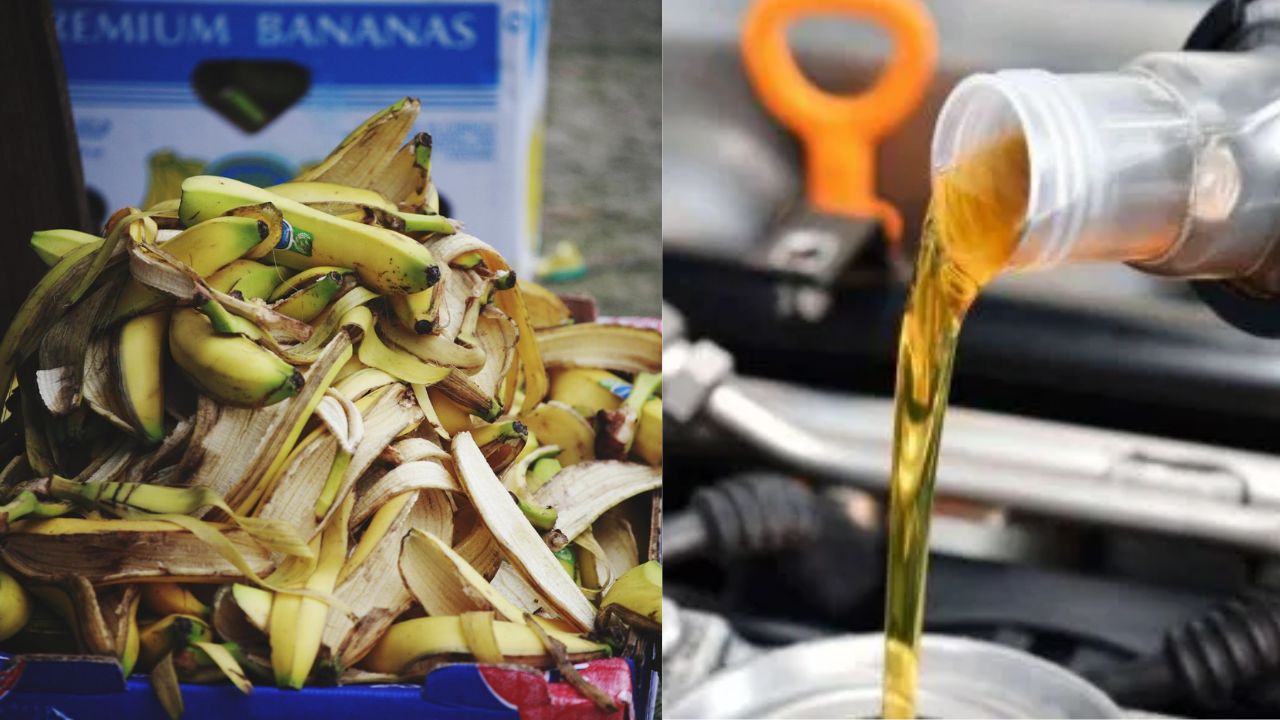Wow! Eco-friendly diesel made from banana peels and waste plastic; Details here