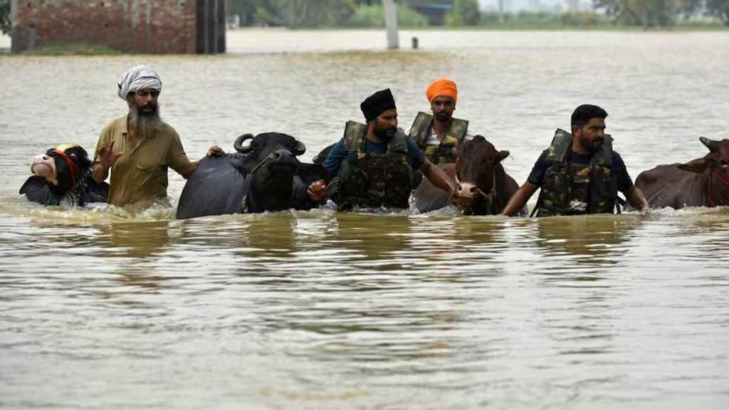 Punjab declared disaster-hit as flood situation worsens