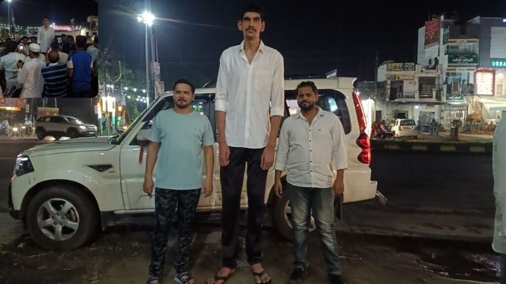 tall boy