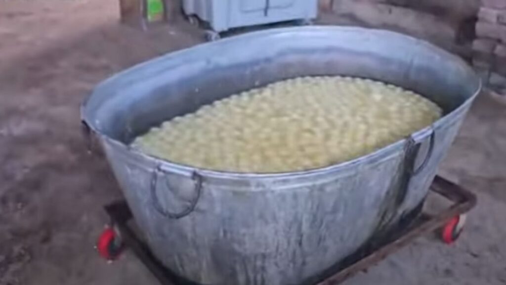 Food Safety Dept Conducts Major Crackdown on Fake Sweets in Bulandshahr