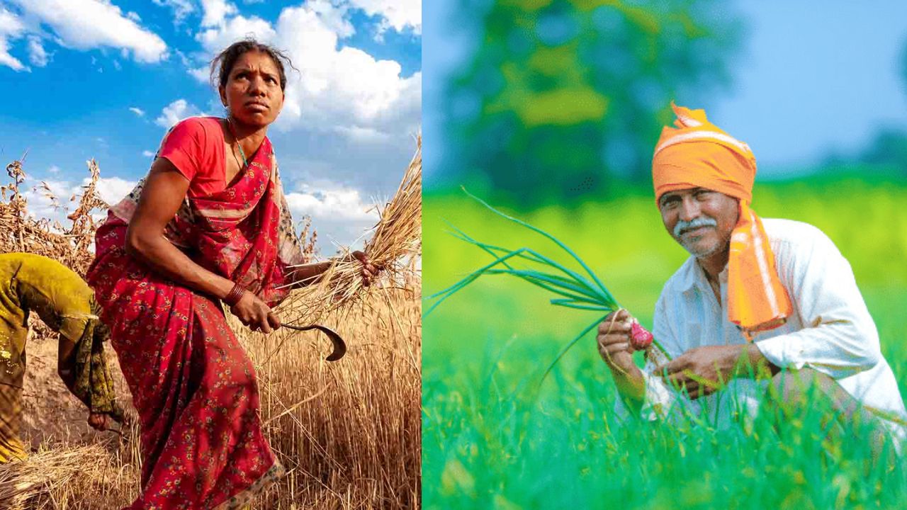 PM Kisan 21st Installment 2025 Date: When Will the Payment Arrive? Check Eligibility, Status & Registration Process PM Kisan 21st Installment 2025 Date: When Will the Payment Arrive? Check Eligibility, Status & Registration Process