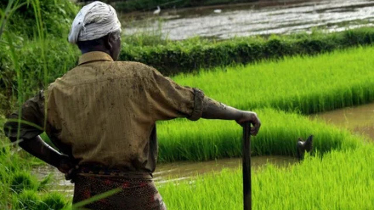 More than 2 lakh people in this dist of UP will be deprived of PM Kisan Samman Nidhi; Here why