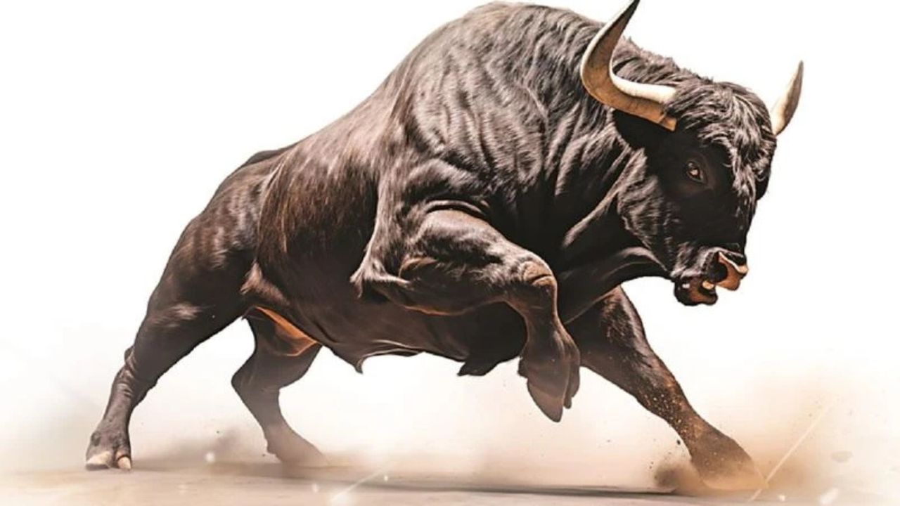 Stock market Oct 17