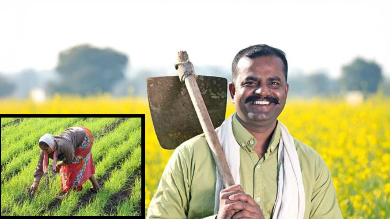 PM Kisan 21st Installment 2025 Date: When will farmers receive Rs 2,000 next? PM Kisan 21st Installment 2025 Date: When will farmers receive Rs 2,000 next?