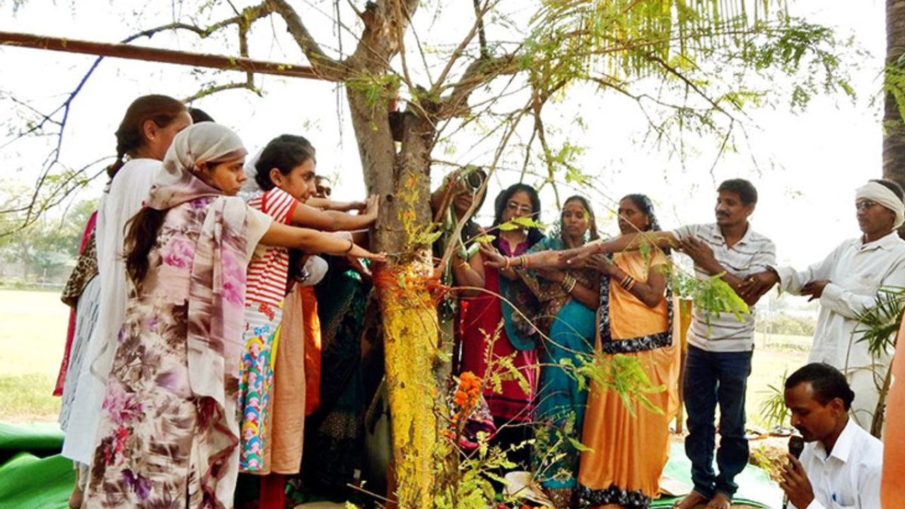 Can worshipping a tree make your blessings last forever? The curious faith behind Amla Navami 2025