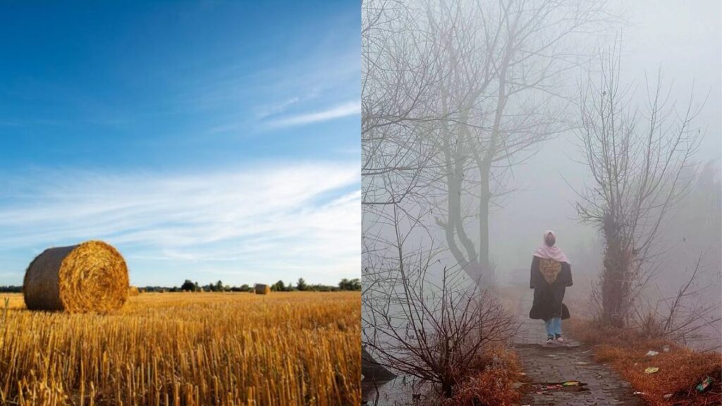 Dry Weather till October 20
