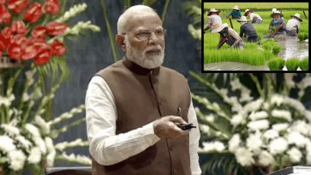 agricultural schemes
