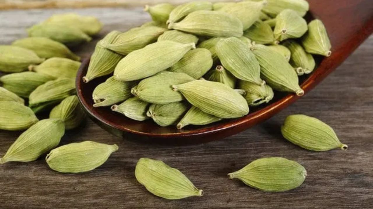 Chew cardamom after eating; Here’s what it does for your health