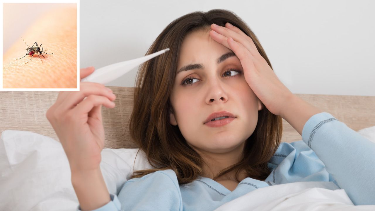 Early Warning Signs of Dengue You Must Not Ignore This Season