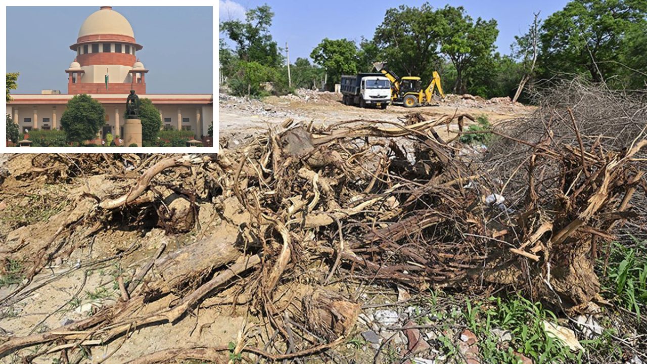 Delhi Ridge Tree-Cutting: Supreme Court Orders 185 Acres Plantation By March 2026