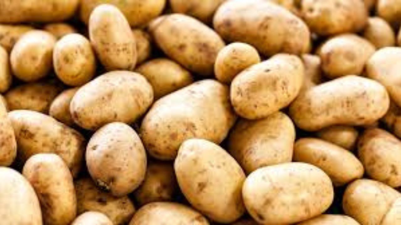 Fake potatoes are being sold in markets; Here’s how to spot and avoid them