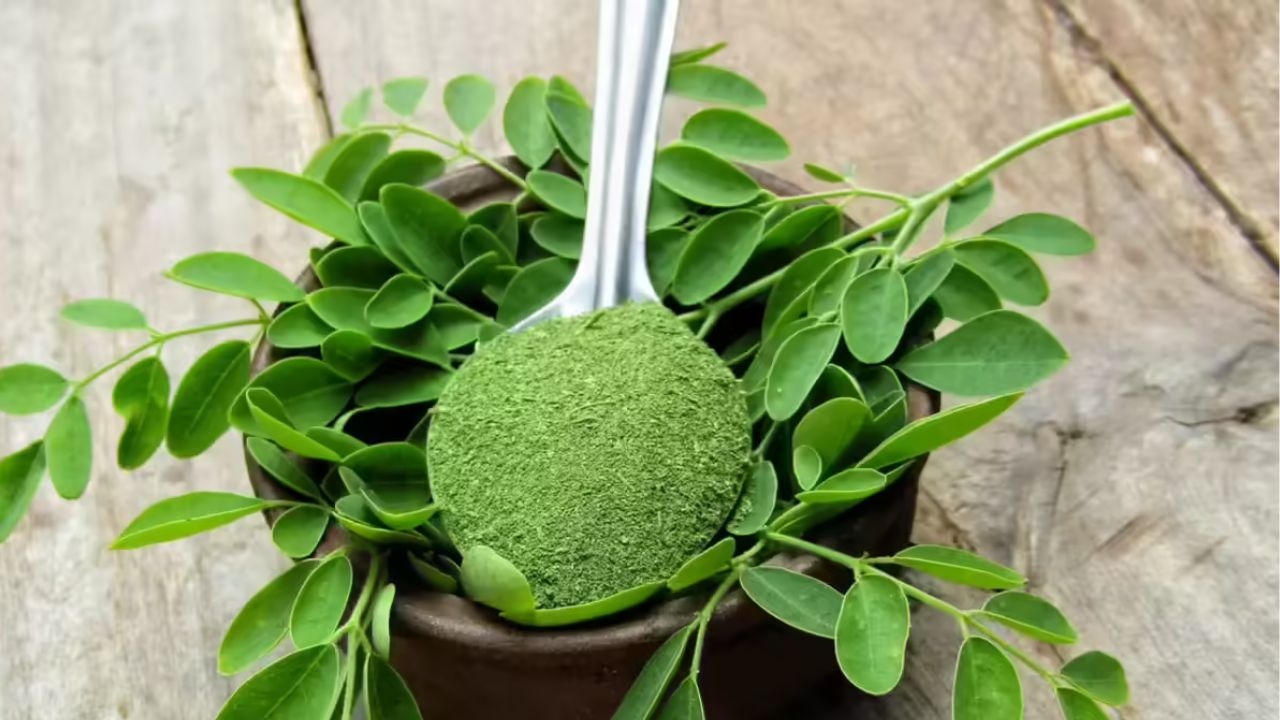 Powder or juice: which Moringa ‘dose’ is best for hair growth?