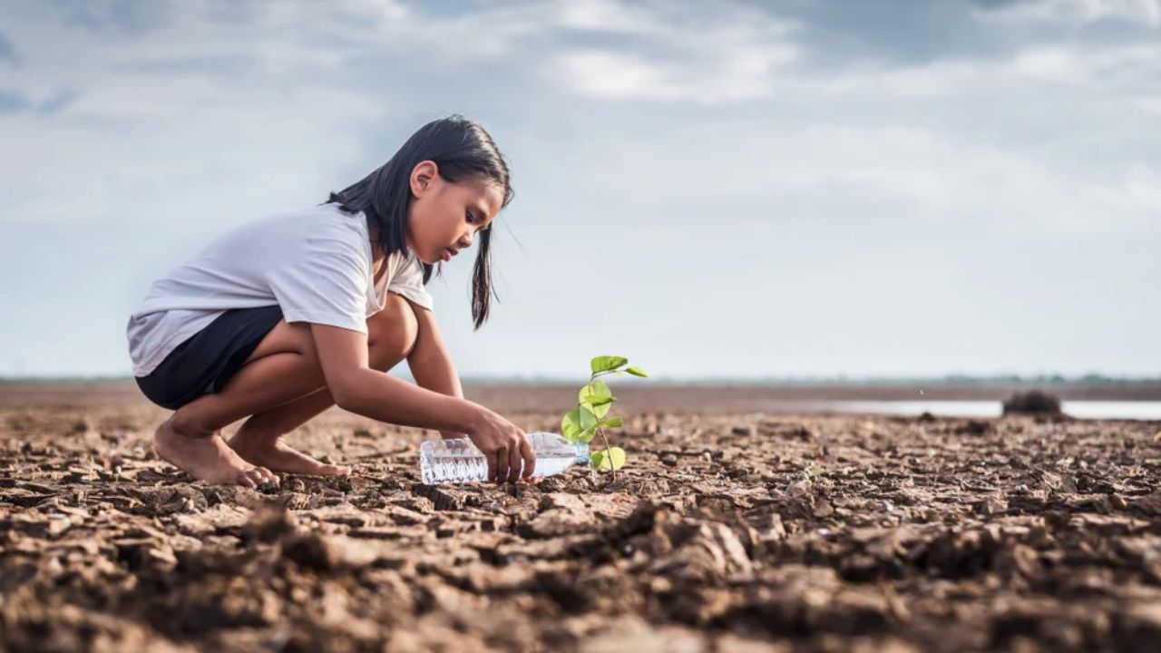 UNEP Warns: Global temperatures on track to rise by 2.5°C; Click here for details