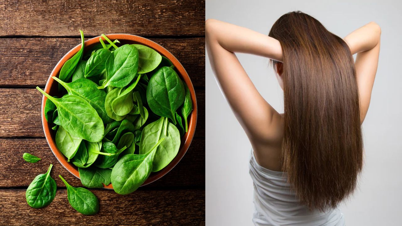 Spinach is a superfood for hair growth; Learn best ways to use it