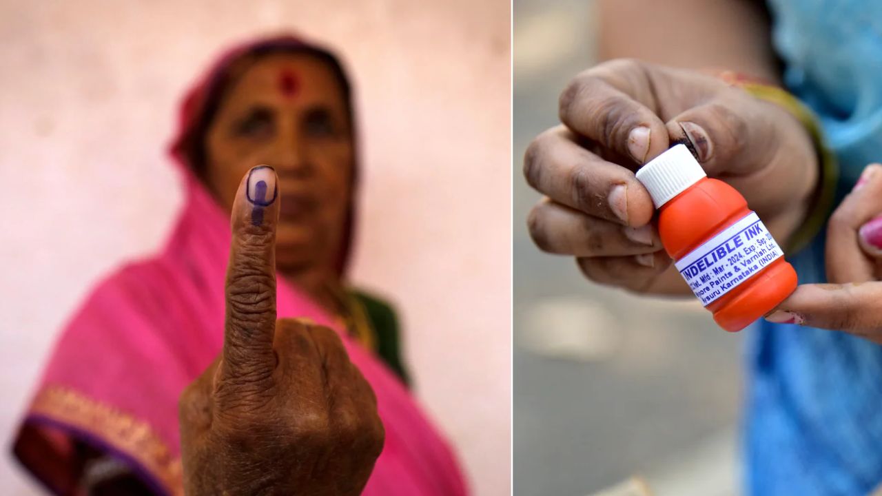 Bihar Elections: How India makes its indelible ink for voting; Click for details