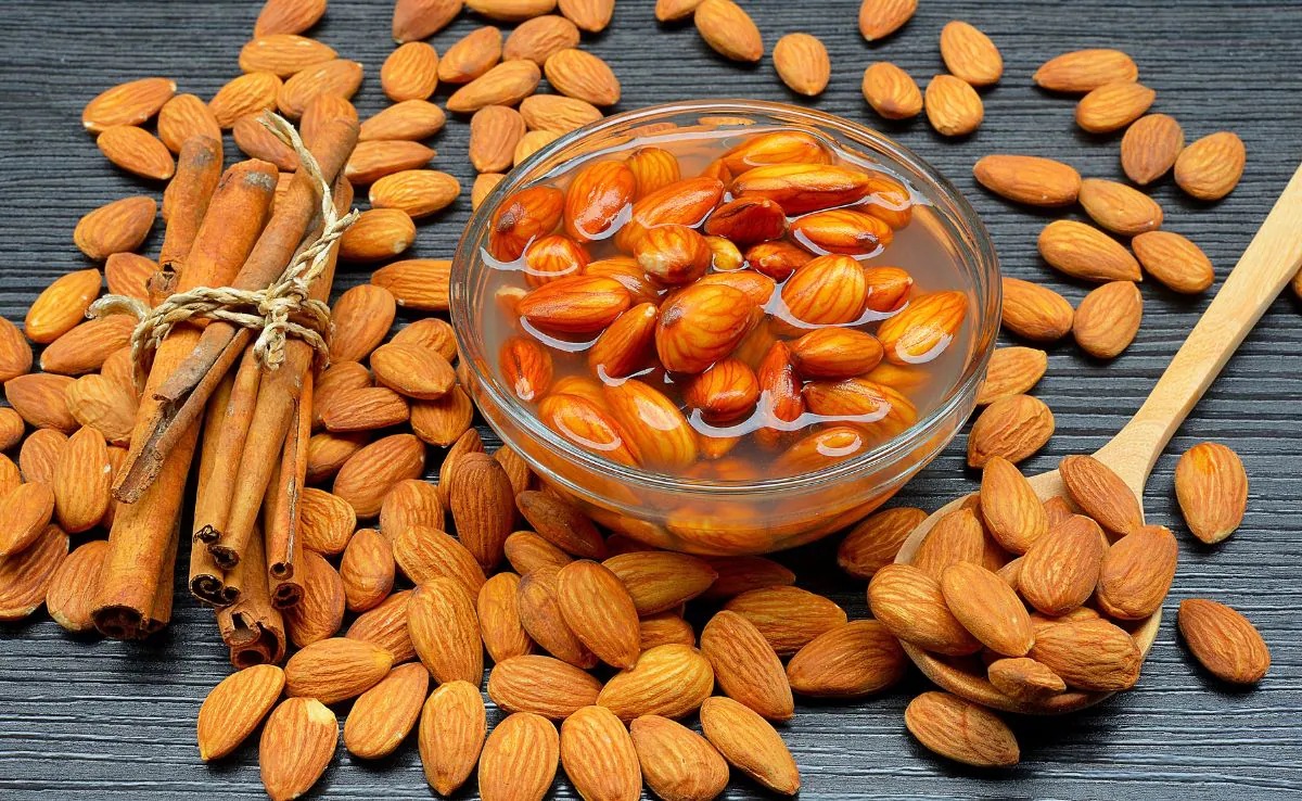 Beyond Almonds: 5 daily habits that can sharpen your brain like never before