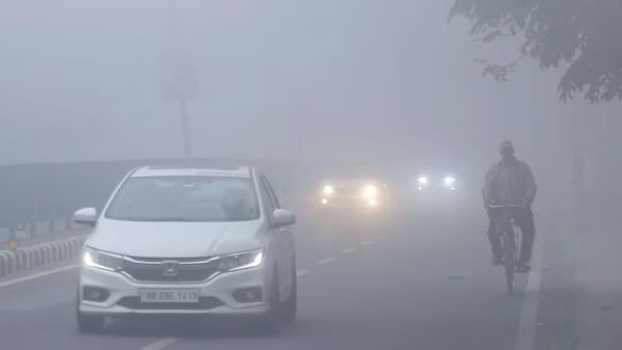 Dense fog increases accident risk; Follow these safe driving tips