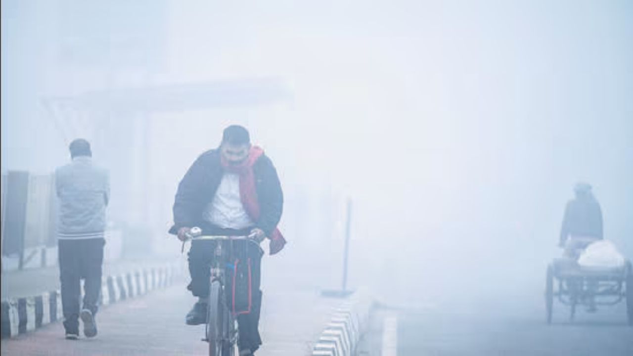 Cold wave and thick fog paralyze North India; Delhi-NCR suffers double blow