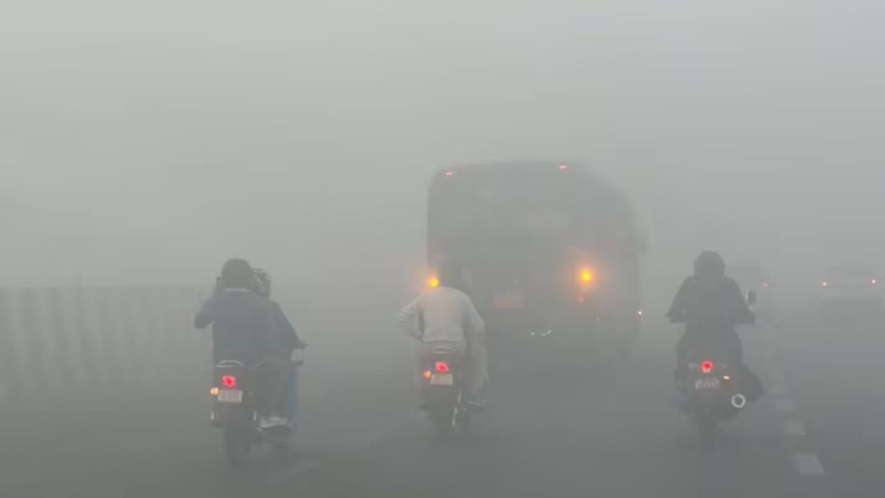 Invisible Roads, Rising Risks: How to stay safe while driving in Delhi fog?