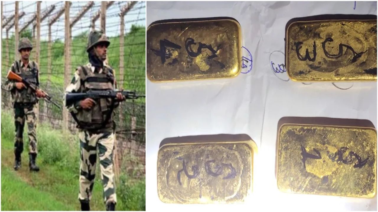 BSF seizes Rs 1.5 crore cocaine on India-Bangladesh border; Details inside
