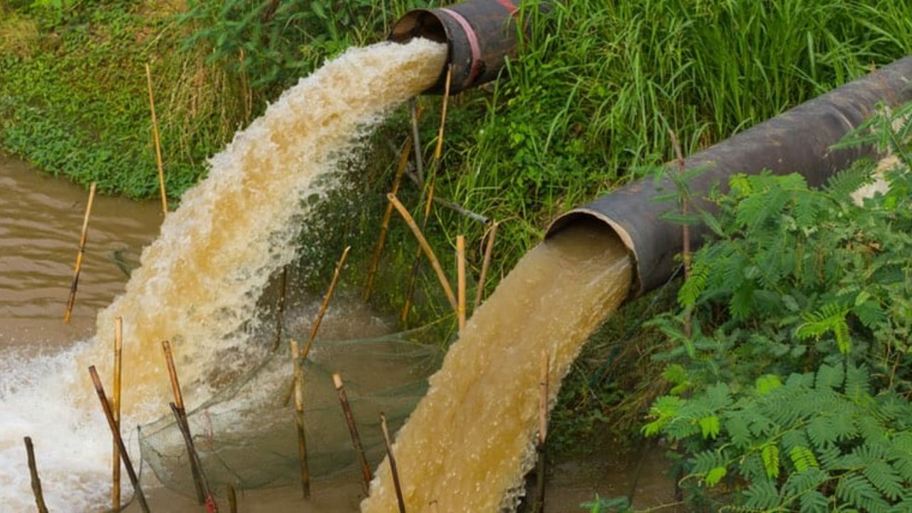 Punjab firm accused of polluting groundwater; Assets worth Rs 80 crore seized by ED