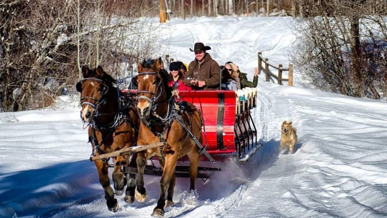 The Surprising Truth: “Jingle Bells” Was Never a Christmas Song