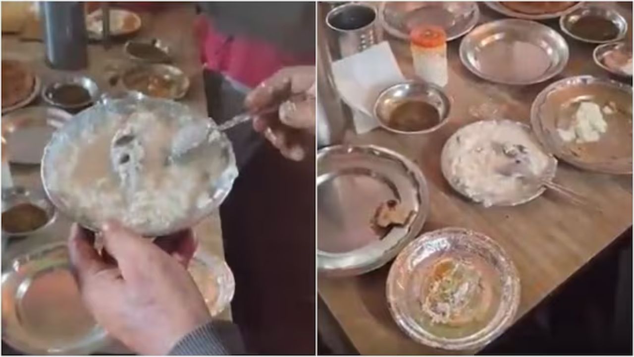 Dead rat found in curd at highway dhaba; Video goes viral