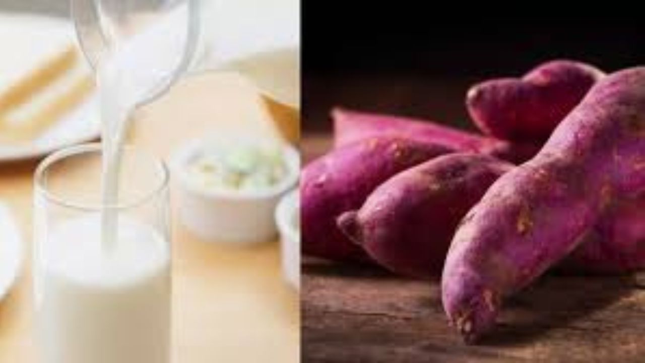 If you take Sweet Potato, Milk, and Jaggery on year breakfast it will be Provide tremendous energy