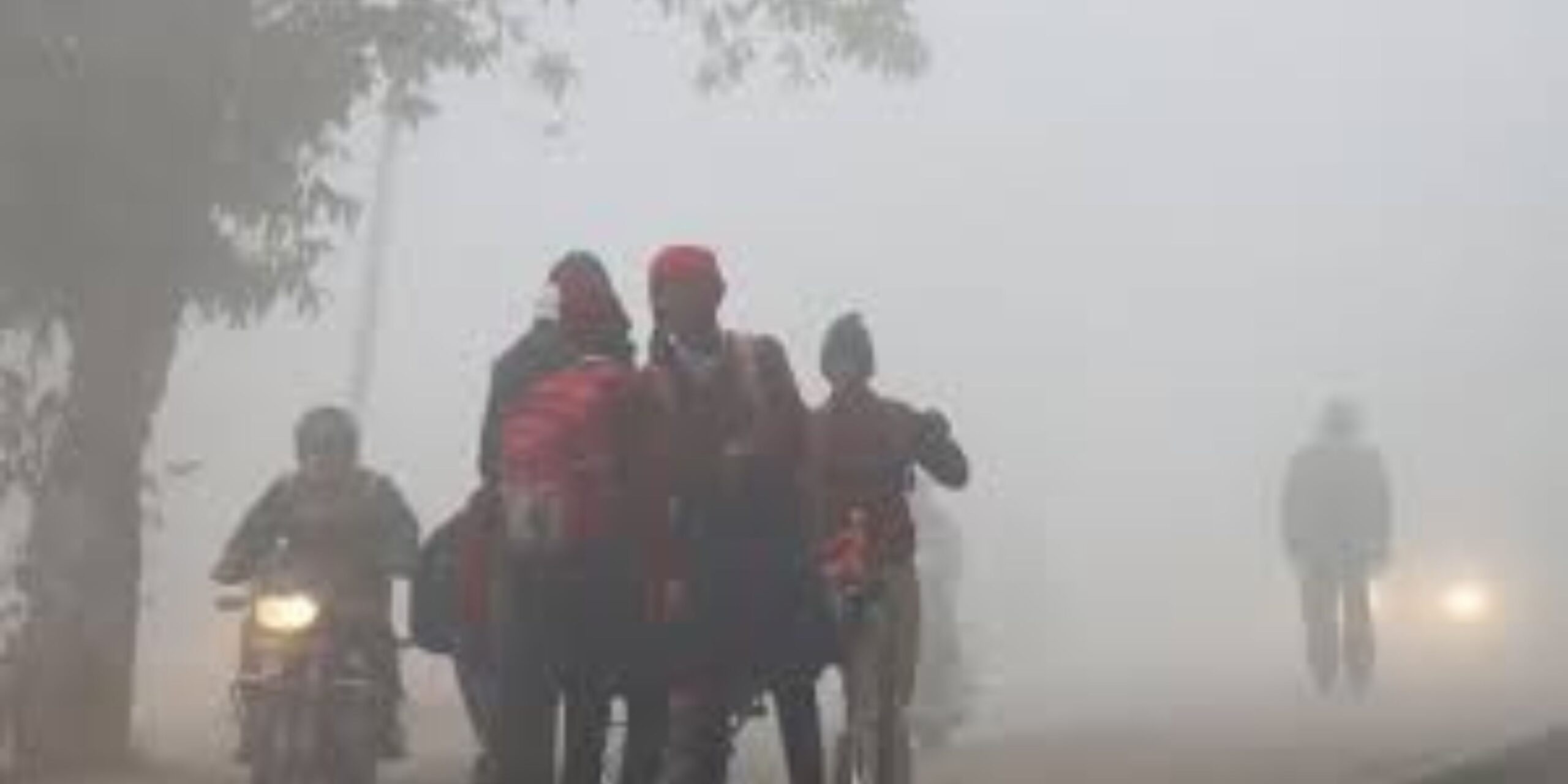 UP Under Severe Cold Wave: Dense fog alert in 20 districts, School timings revised