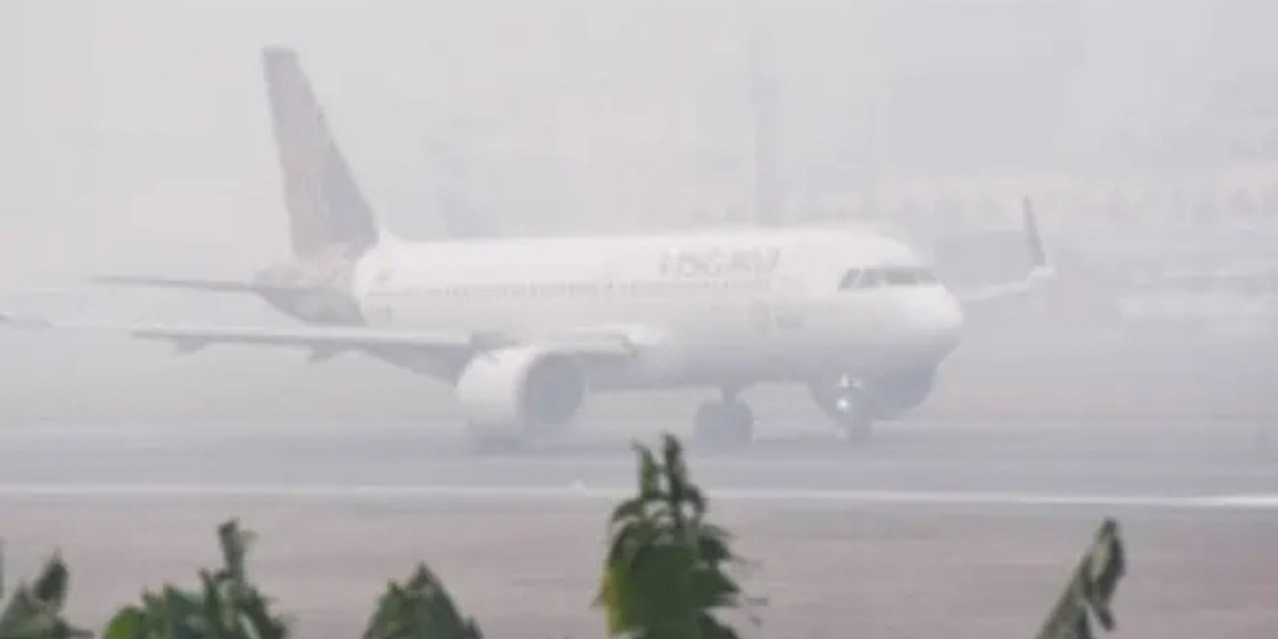 AAI issues dense fog advisory across north India; Airlines warn of flight disruptions