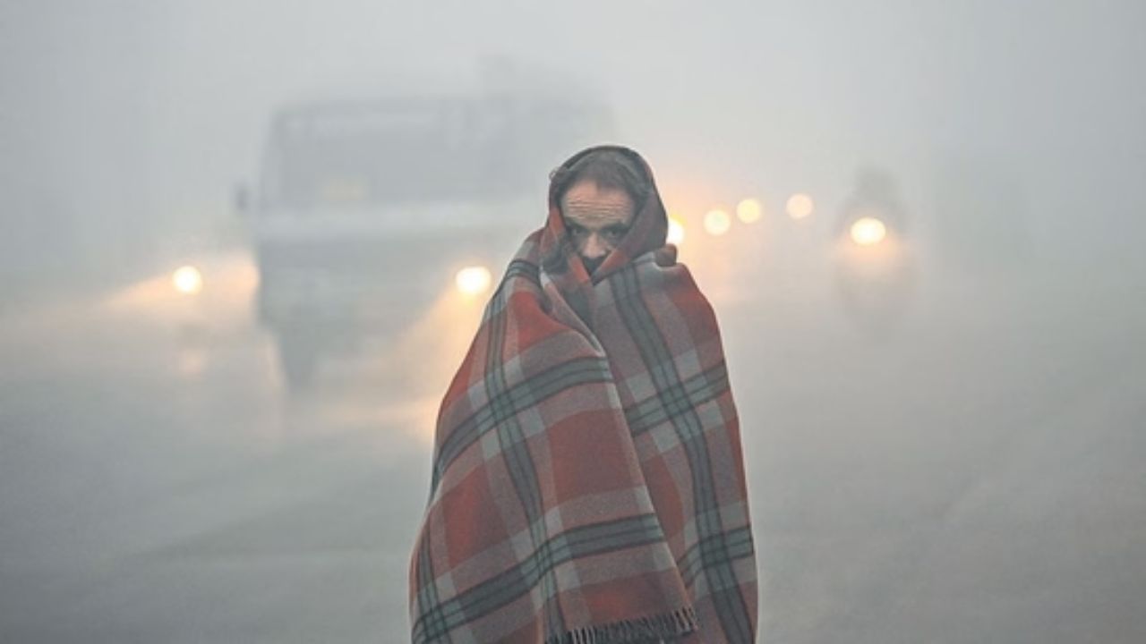 Which parts of India will shiver most this week? IMD Issues dense fog, cold wave alert