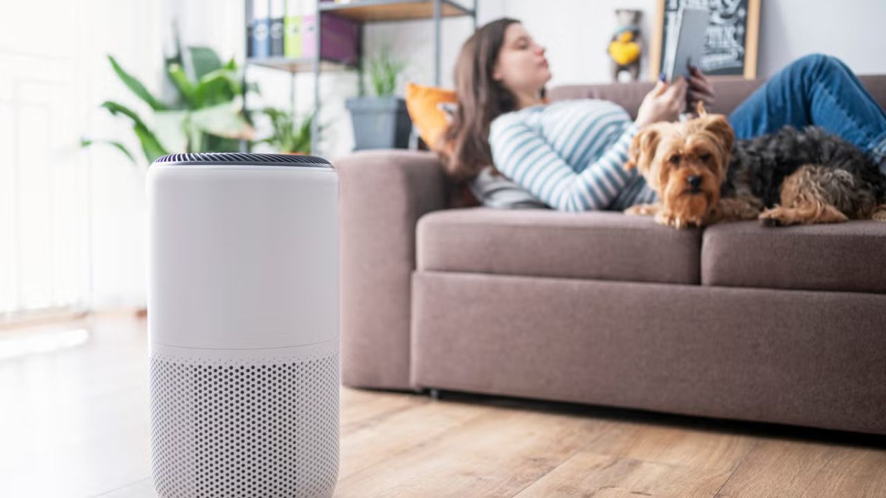 Delhi HC raps Centre, demands response in 10 days on GST cut for Air Purifiers; Details inside