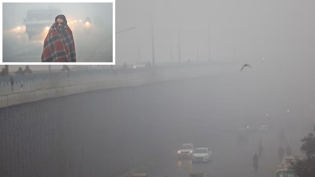 Weather Update: Dense fog and hazardous air grip Delhi; Know travel advice, safety measures