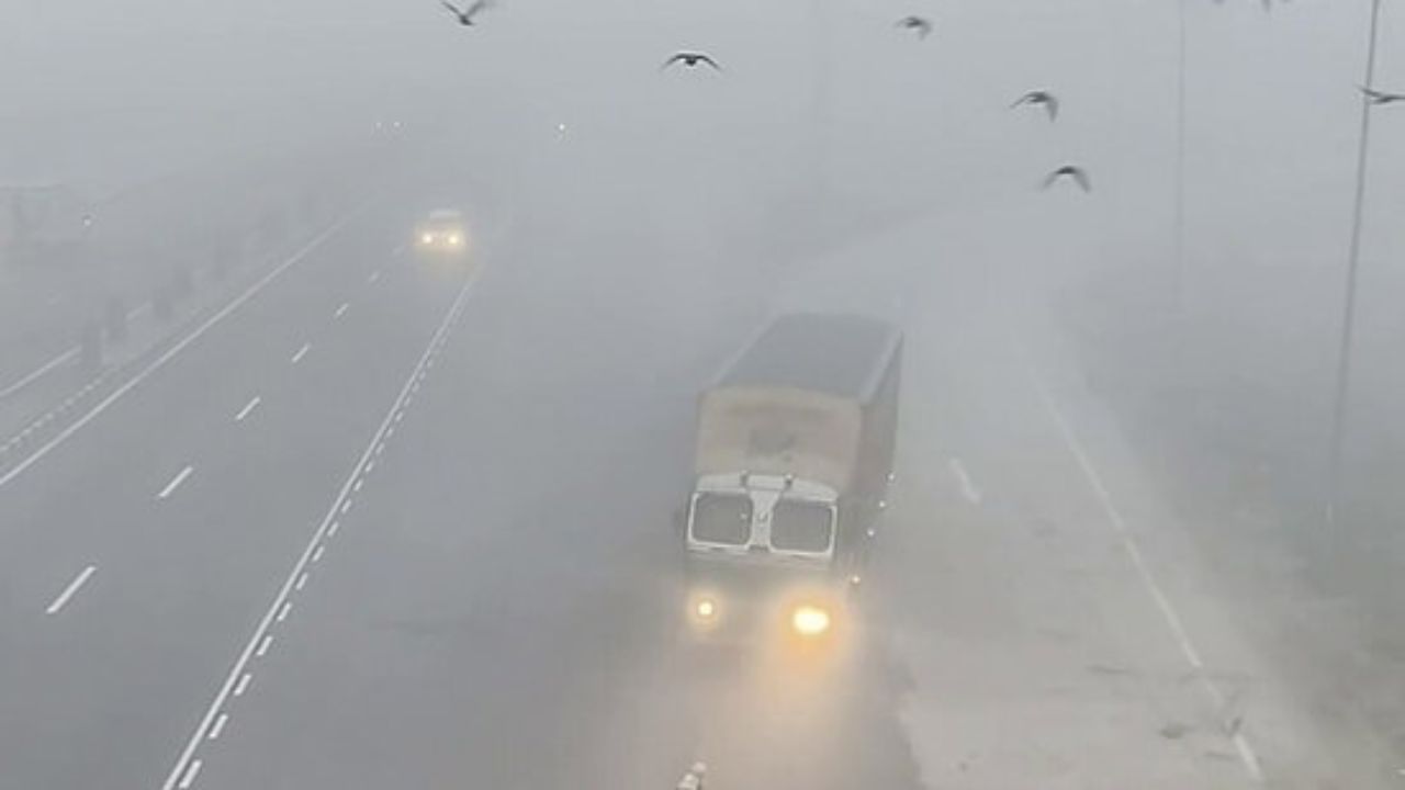 Weather Update: Severe cold grips Kashmir to Darjeeling; Dense fog disrupts life in plains