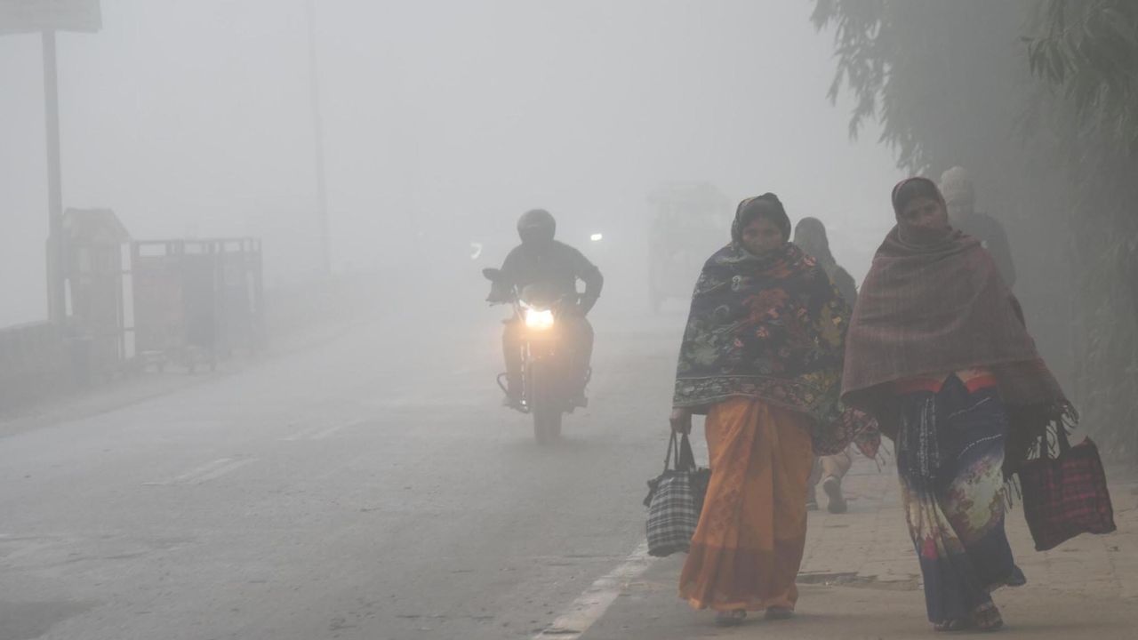 Weather Update: IMD issues cold day and cold wave alert across North India