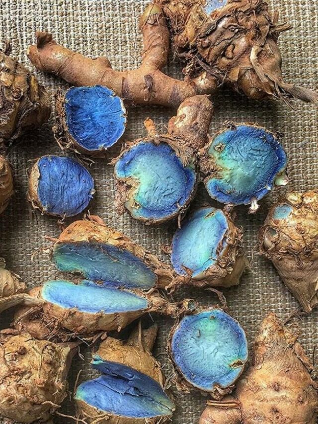 Why Blue Turmeric Should Be in Your Diet