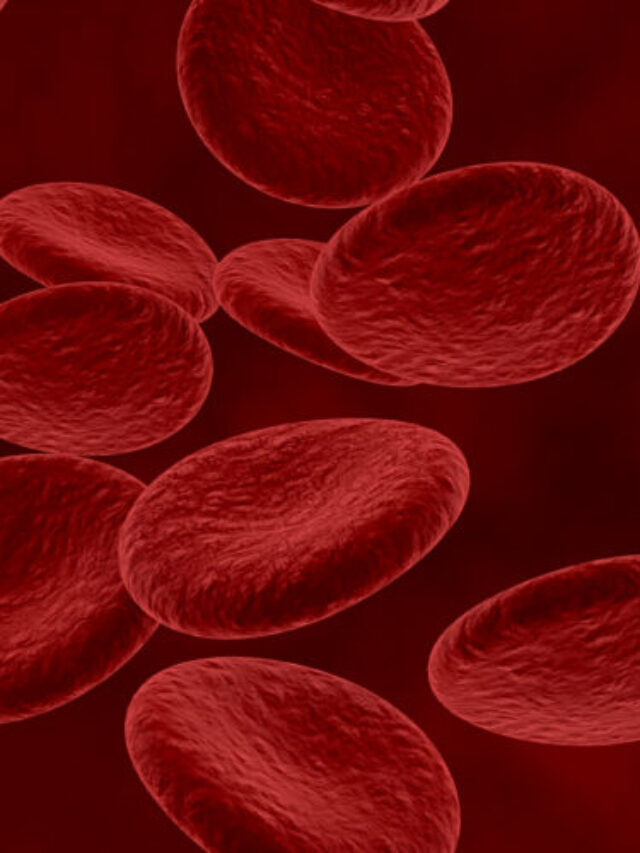 Best Foods To Boost Your Haemoglobin Levels