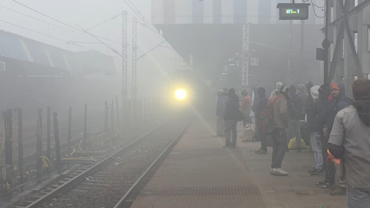 Zero visibility hits Delhi and Northern States as cold intensifies; Transport disrupted