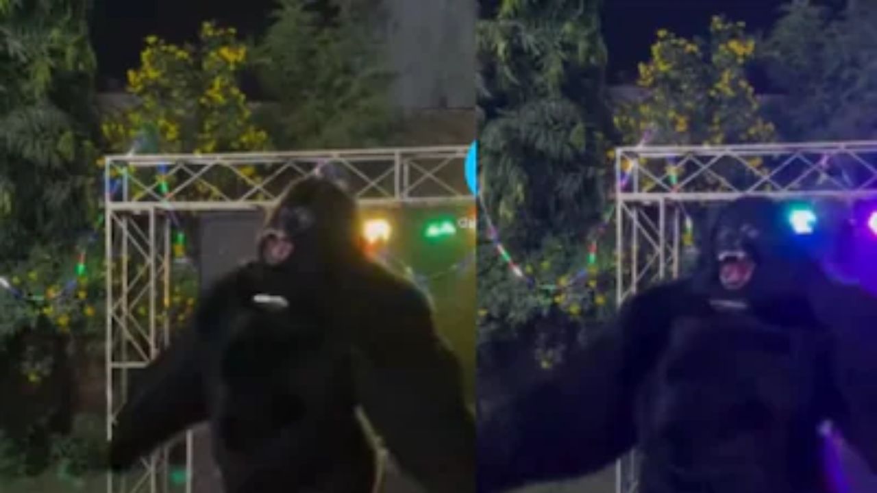 Viral: UP bride’s family cancels wedding after dulha fails to bring ‘nachne wala gorilla’ in baraat