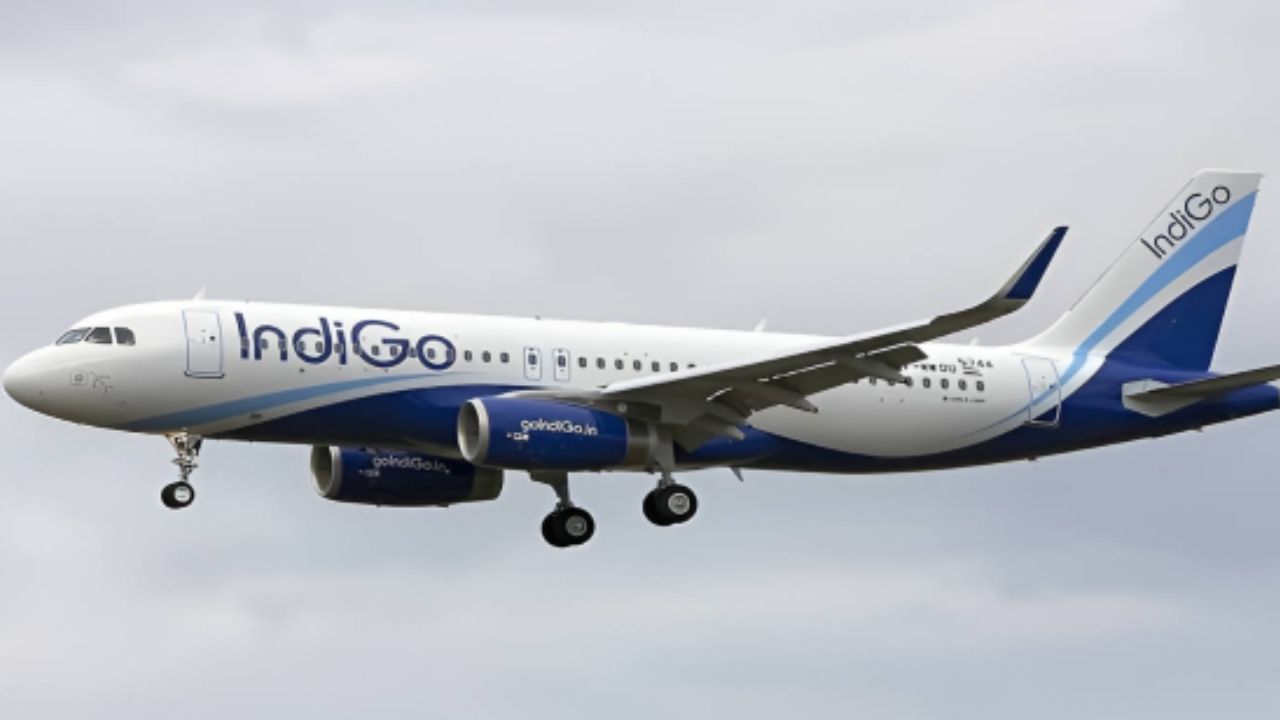 IndiGo Q3 Results: Profit slides 78% as flight disruptions, labour costs hit earnings