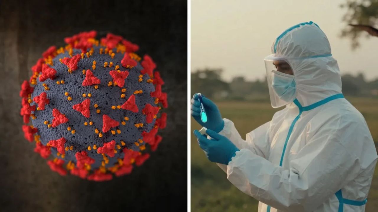Nipah Virus Outbreak In India: All That You Need To Know About This Infection