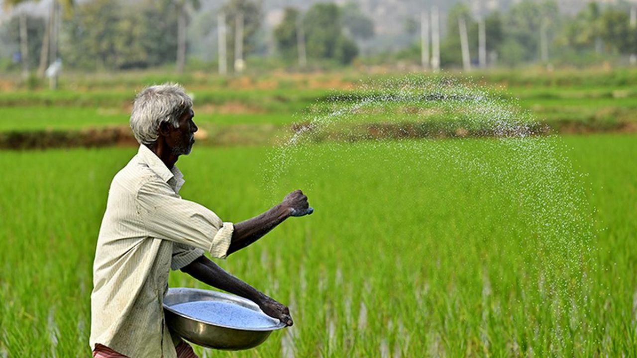 Agriculture to drive Viksit Bharat, inclusive growth and rural prosperity: Economic survey