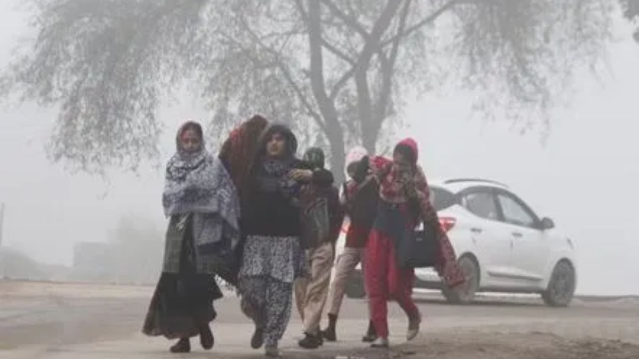 IMD issues fresh weather update as cold persists across North India; Click for details