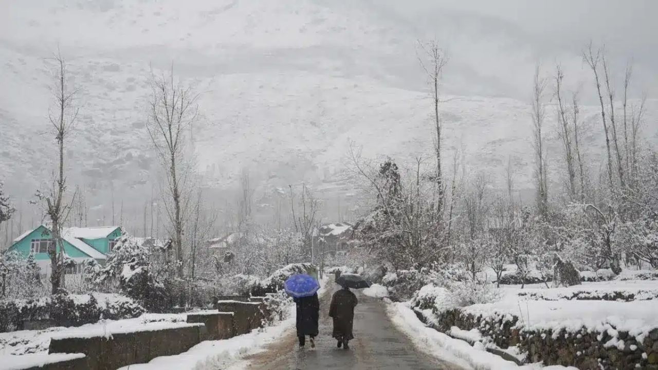 Cold wave batters North India; Snowy hills, chilly winds grip Delhi-NCR