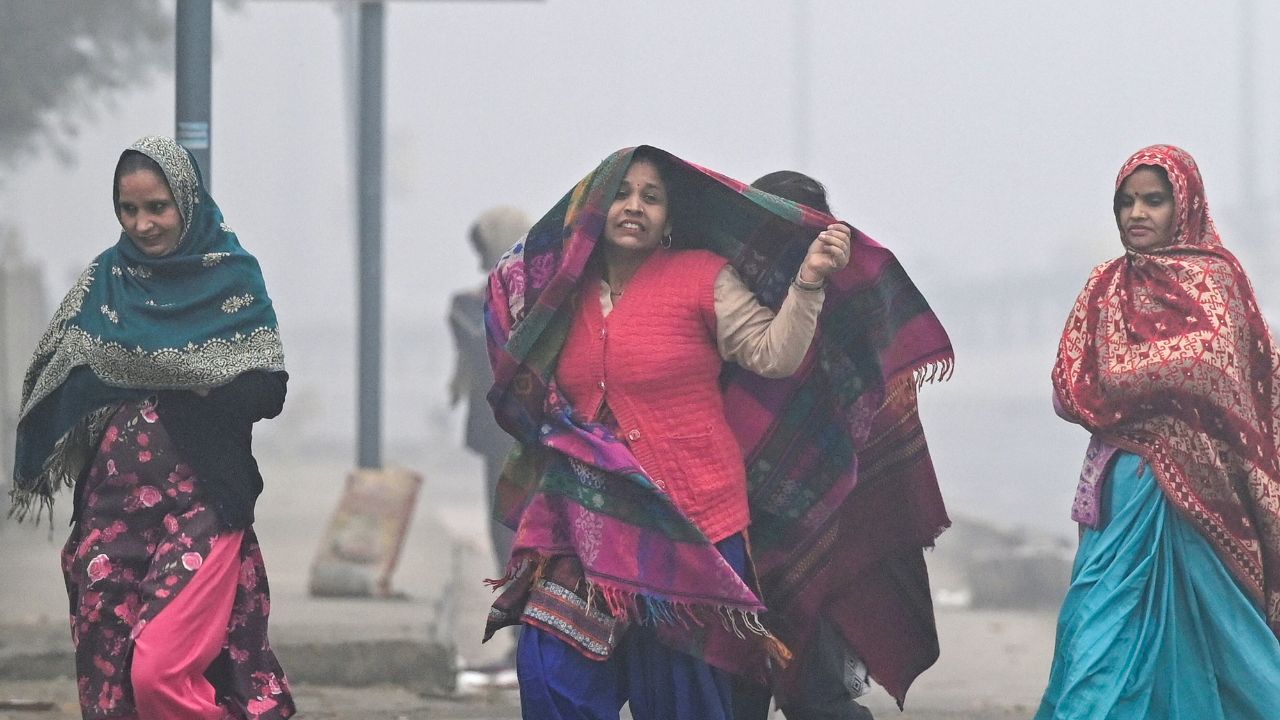 Delhi records 3°C, coldest January day since 2013; Check weather update here