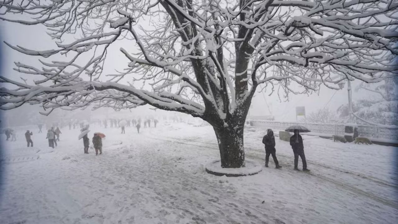 Western disturbance to trigger snowfall in hills, rain and cold wave in plains; IMD issues alert