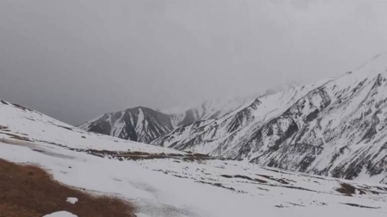 Weather Update: Severe cold wave and dense fog grip North India; Snowfall in hills