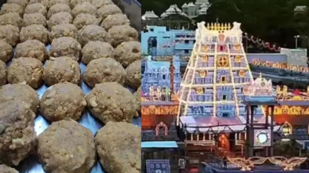 Tirupati Laddu Adulteration Case: Andhra govt orders expanded probe to identify masterminds