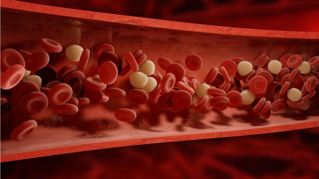 Why human blood is red; Science and health link explained