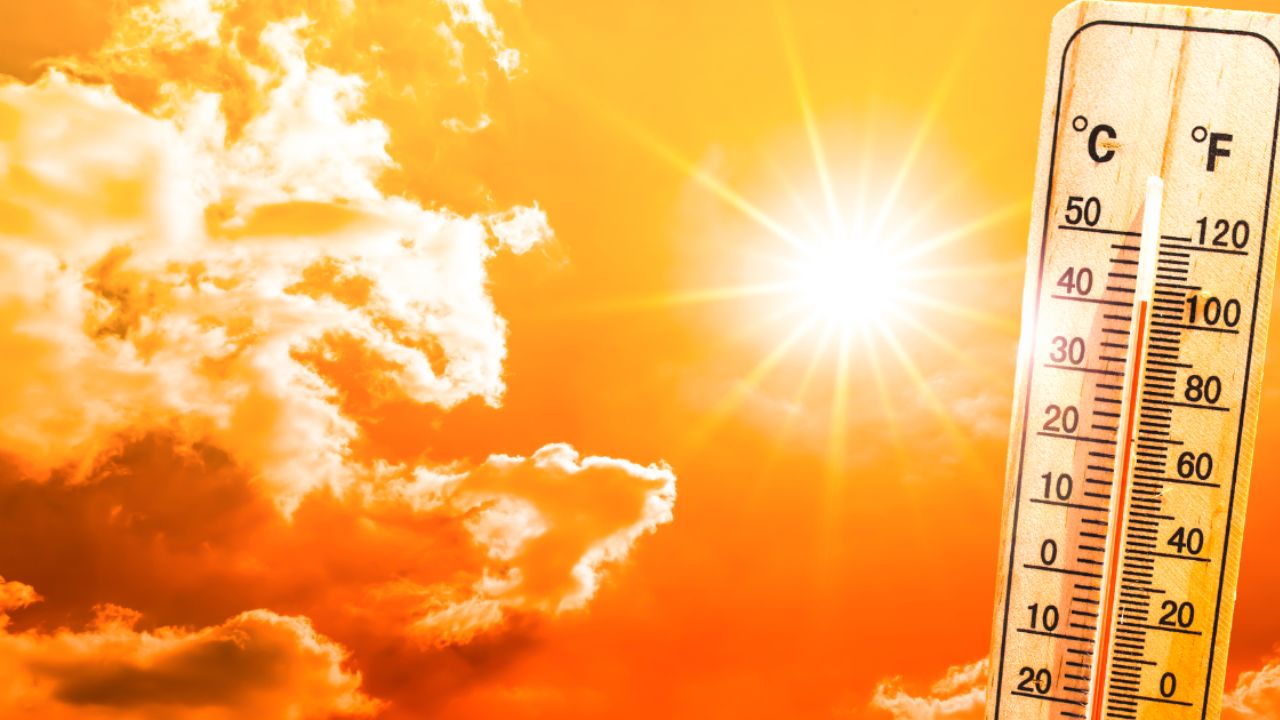 Why 100 cities, including Mathura, Muzaffarnagar, Jalandhar and Hisar, are heating up faster than rural areas